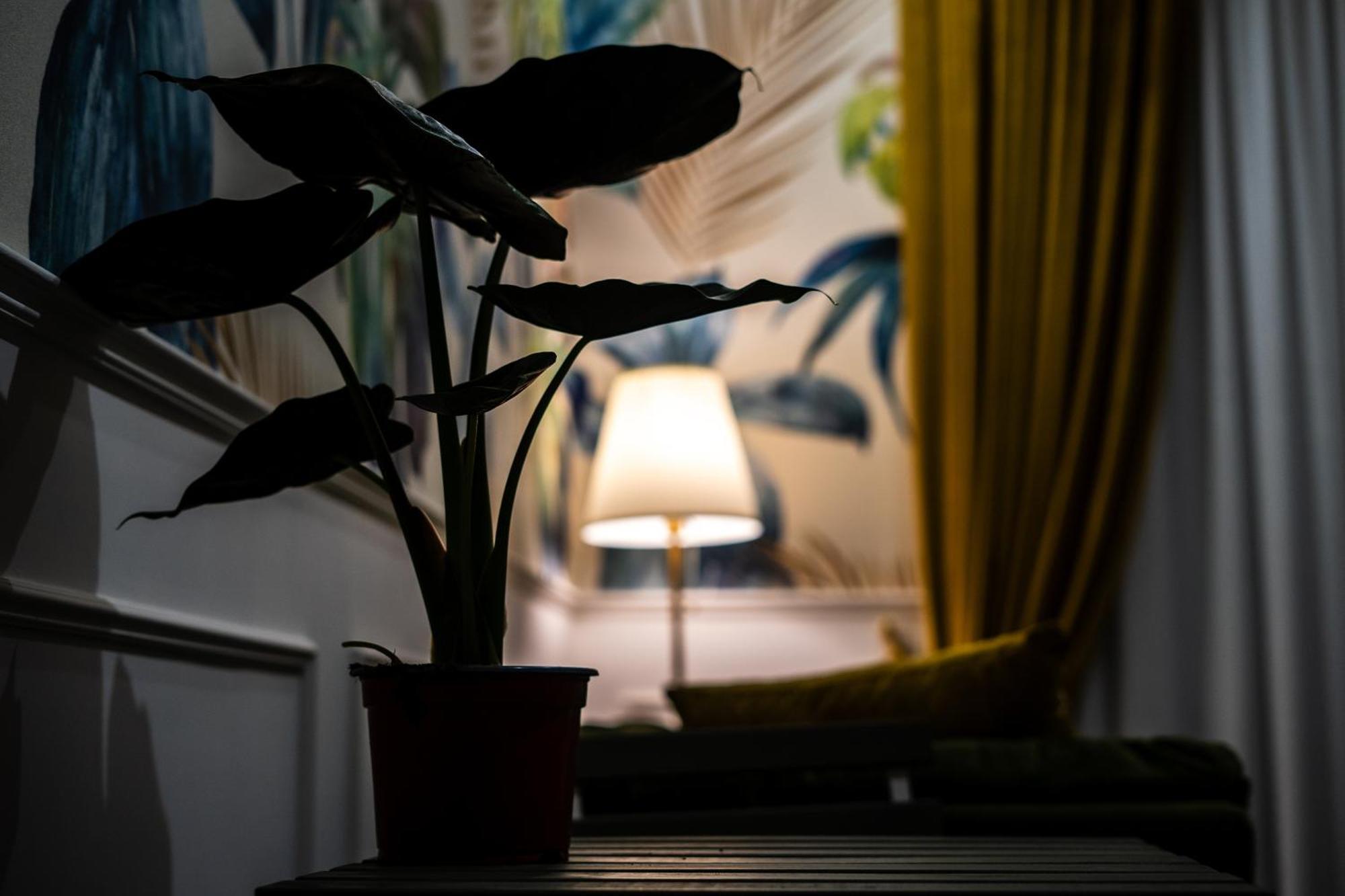 La Grande Bellezza Bed & Breakfast Naples Exterior photo